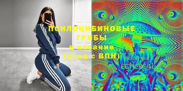 соль ск Михайловск